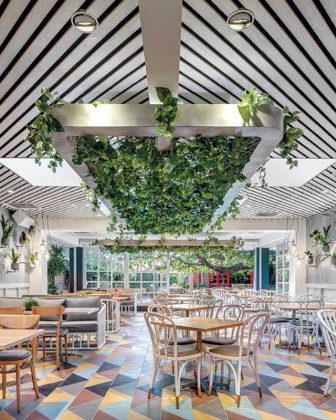 Tiles and green feature in The Garden Pavilion interior design by Paul Kelly Design