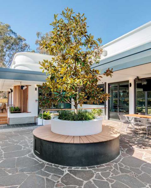 A tree surrounded by a seat at St Johns Park by Paul Kelly Design