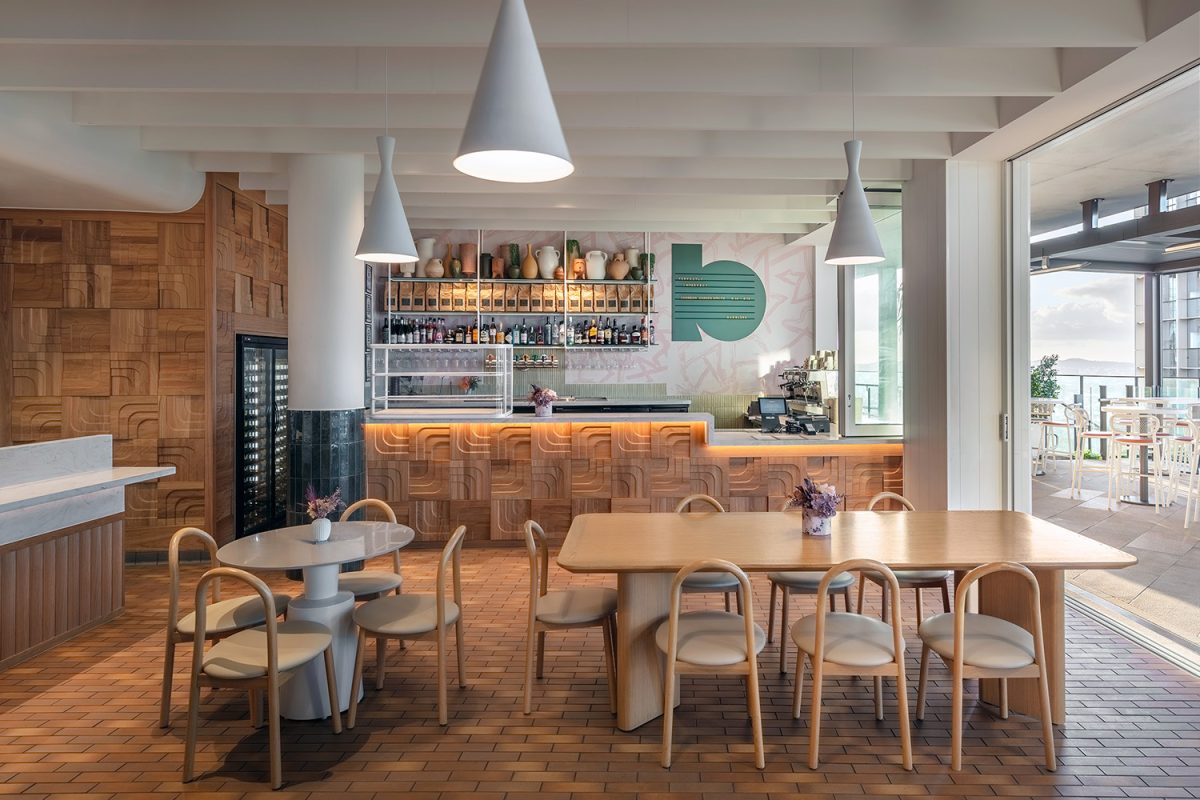 Babblers at the Sky Deck Brisbane