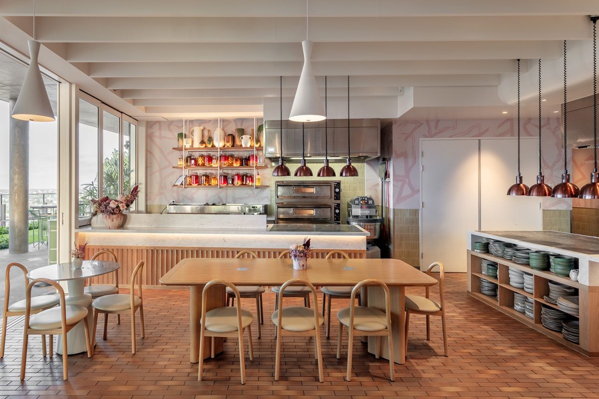 Babblers at the Sky Deck Brisbane