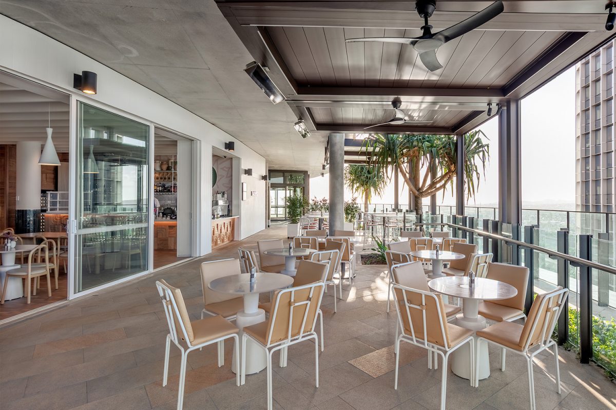 Babblers at the Sky Deck Brisbane