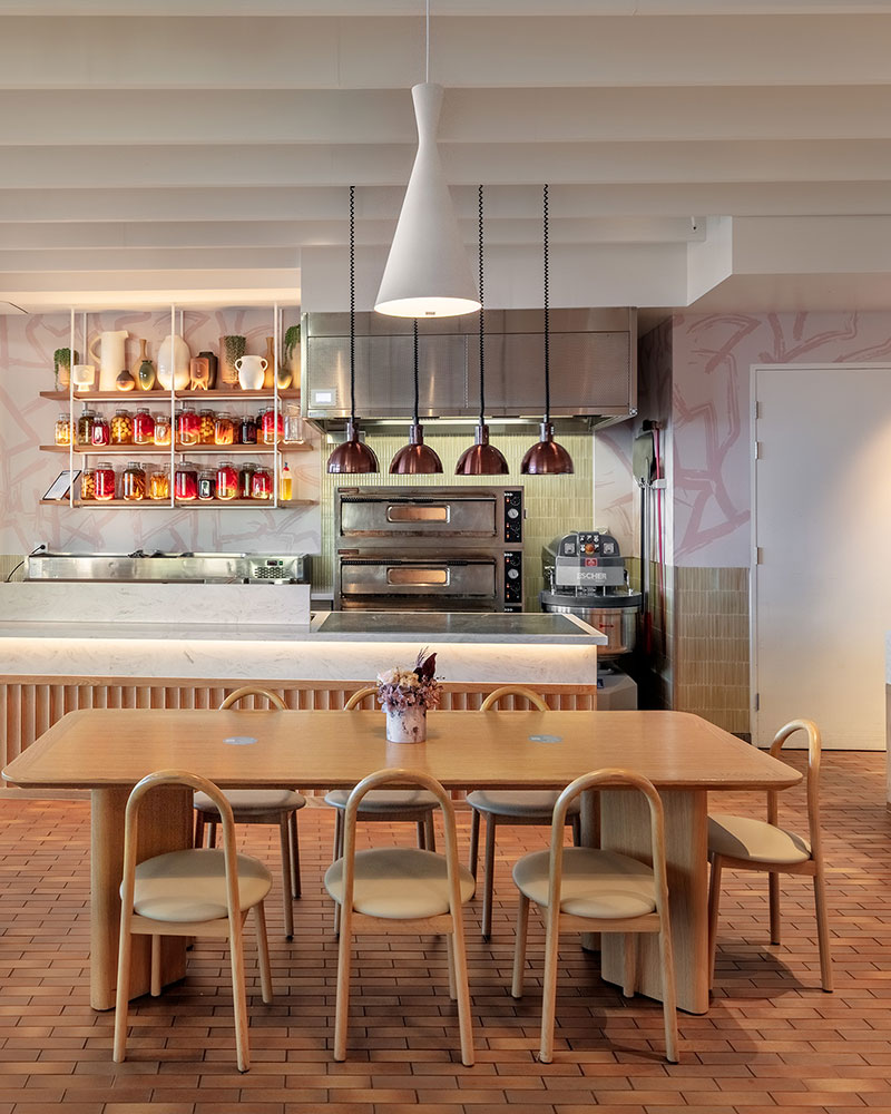 Babblers at the eastern edge of Sky Deck